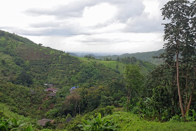1 Day Trekking Group Tour With Bamboo Cooking / Chiang Rai - The 9 a.m. start and Chiang Rai pickup