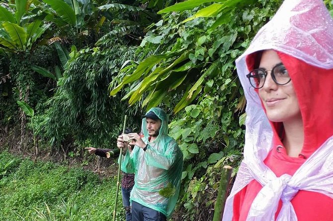 1 Day Trekking Group Tour With Bamboo Cooking / Chiang Rai - Waterfall and hot spring stops