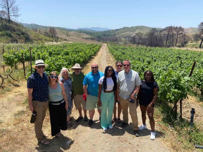 11 Course Lunch, Wine Tasting & Cooking Mastery in Rhodes - Arriving at the family winery