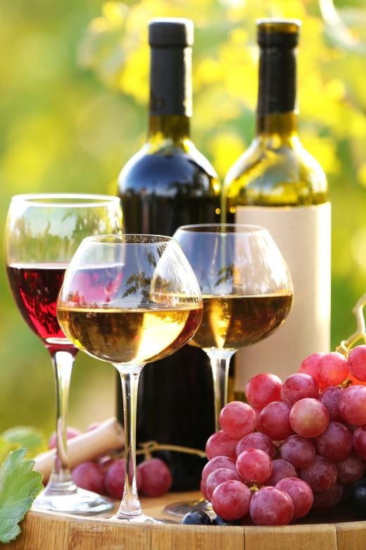 11 Course Lunch, Wine Tasting & Cooking Mastery in Rhodes - Transport, timing, and the pickup warning
