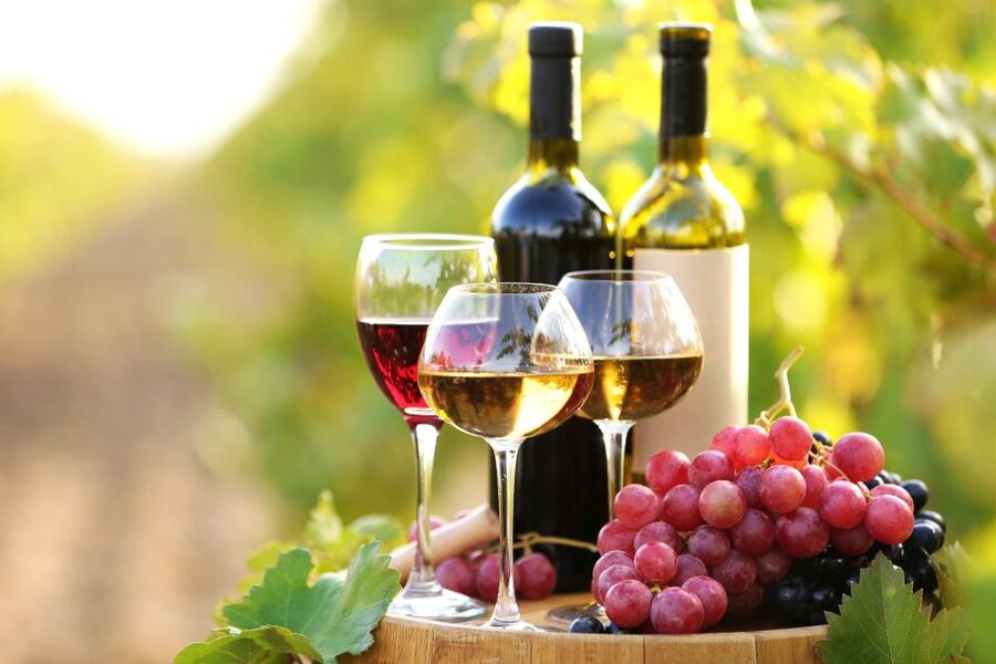 11 Course Lunch, Wine Tasting & Cooking Mastery in Rhodes - Who should book this Rhodes food experience?