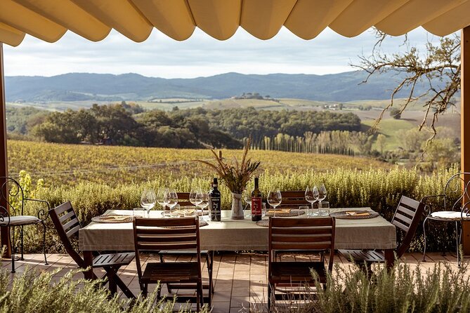 A Brunello Cooking Class with Vineyards View Winery - Who will enjoy this most?