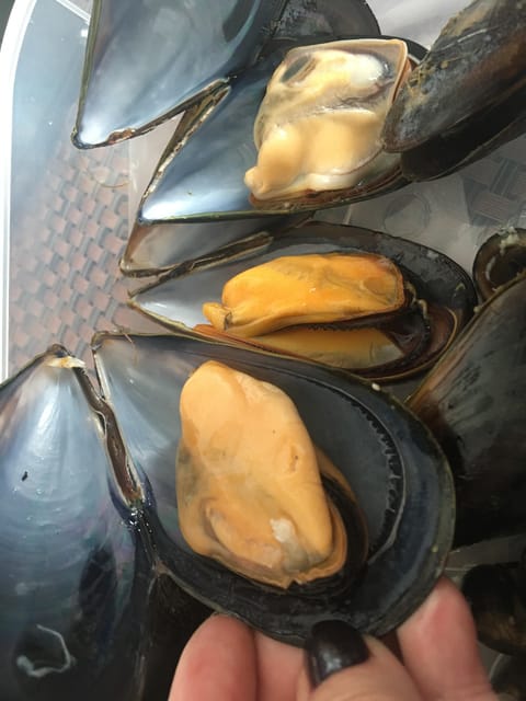 A Coruña: Local Market Shopping and Cooking Workshop - The best part: sitting down to eat what you made