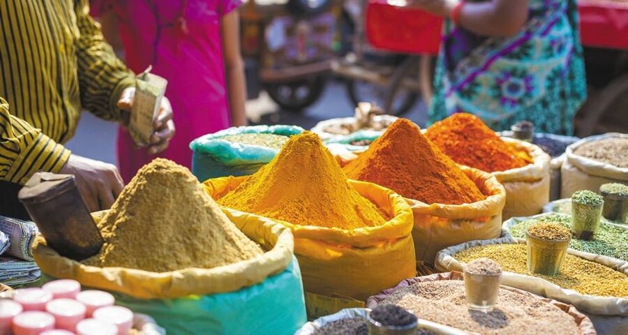 Agra: Indian Food Private Cooking Class - What You Will Take Home