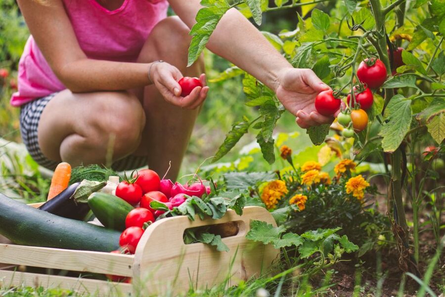 Amalfi: Cooking Class and Farmhouse Visit With Meal - The meal is part of the experience