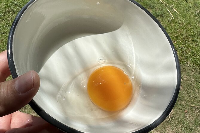 Aroidee’s Farm-Fresh Thai Cooking Experience - Collecting eggs and meeting the farm animals