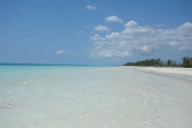 Around Town/Bahamian Cooking Experience - Bahamian Brewery: seven beers and two Radlers
