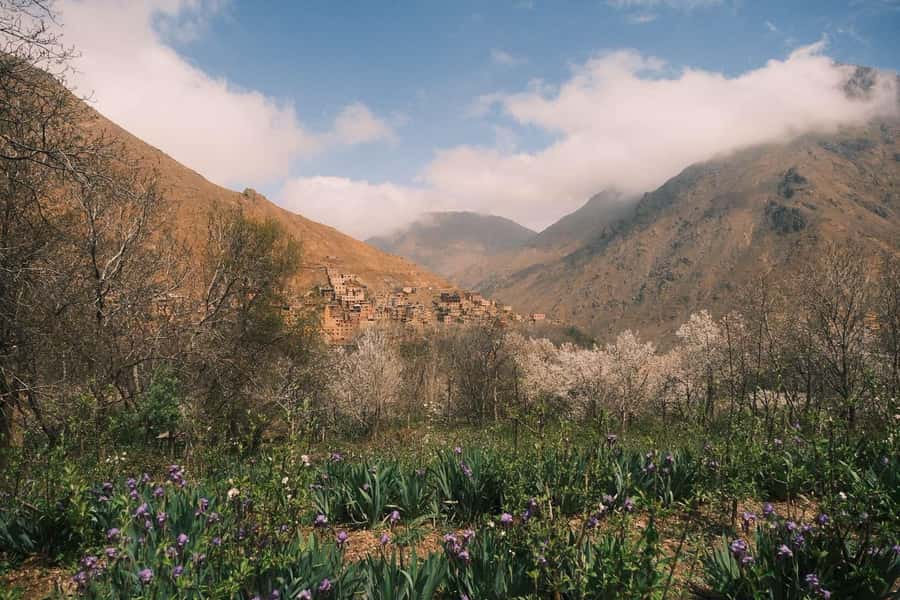 Atlas Mountains Day Trip: Market, Cooking & Village Walk - Key points to know before you go