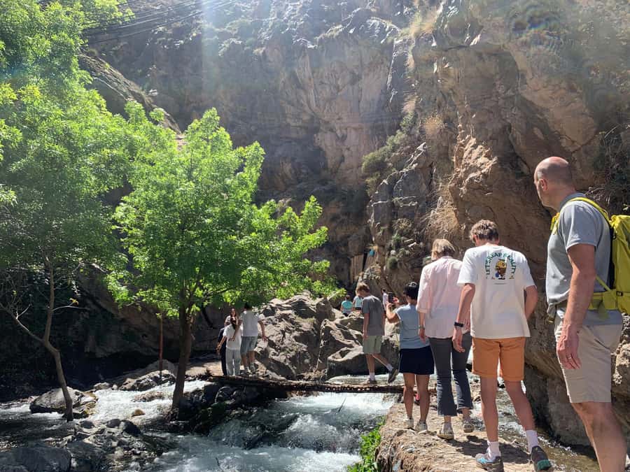 Atlas Mountains Day Trip: Market, Cooking & Village Walk - Cooking in a Berber family home