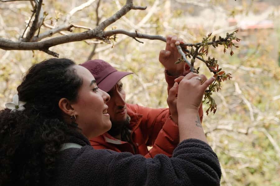 Atlas Mountains Day Trip: Market, Cooking & Village Walk - A 1.5 to 2-hour walk through villages