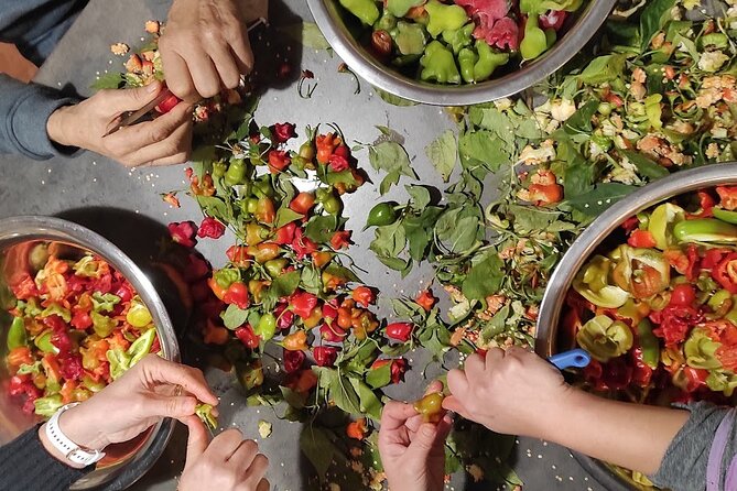 Authentic Garden to Table Cooking Class in Dubrovnik Countryside - Family stories while the food cooks