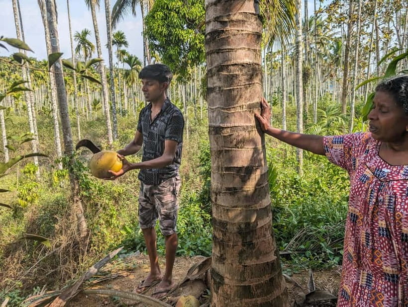 Authentic local vegetarian Kerala cooking class in Wayanad - What you actually do at the stove