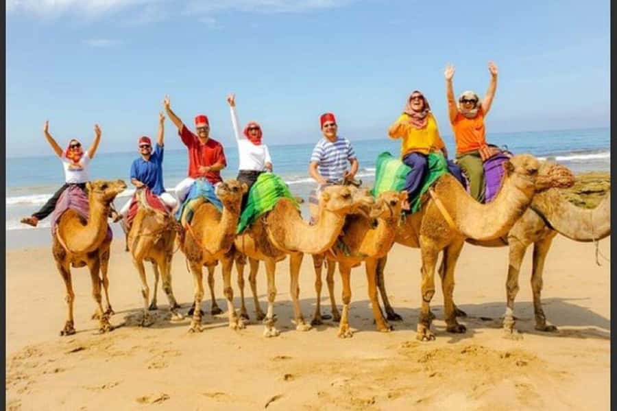 Authentic Luxury, private, TANGIER tour and cooking class - The Moroccan cooking class