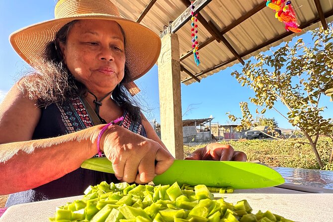 Azteca Tacos Cooking Class - Key points at a glance
