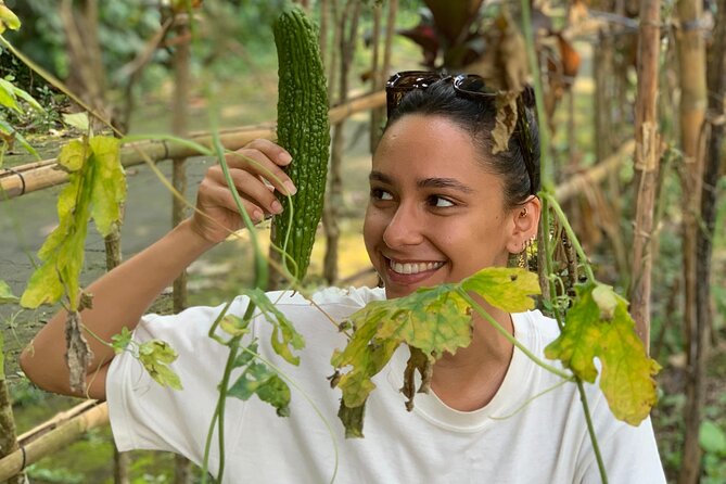 Balinese Authentic Cooking Class in Ubud - The farm supplies more than a pleasant setting