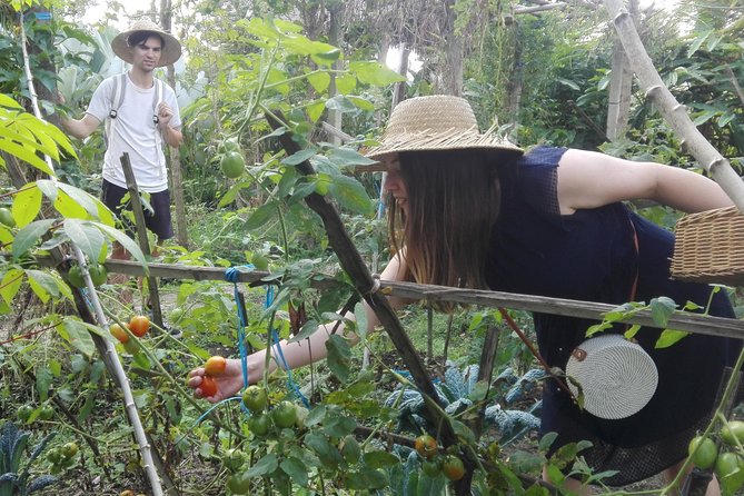 Balinese Cooking Class at Organic Farm - A communal lunch in a quiet gubuk