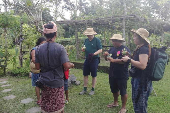 Balinese Cooking Class at Organic Farm - Is $40 a fair price?