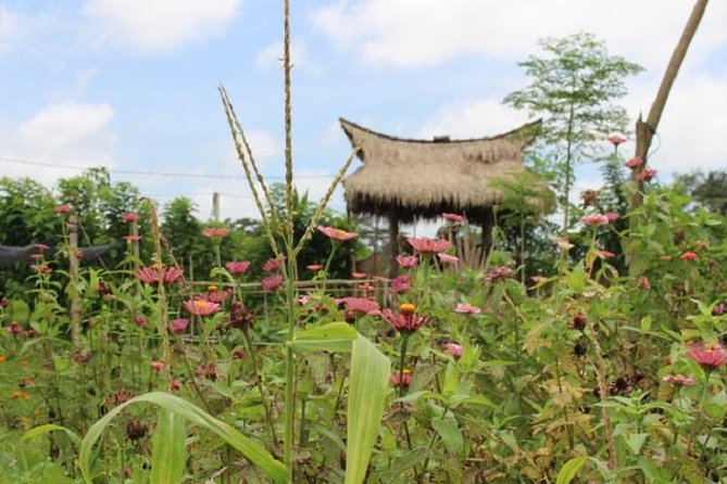 Balinese Cooking Class at Organic Farm - Six dishes, including sate lilit and tuna sate