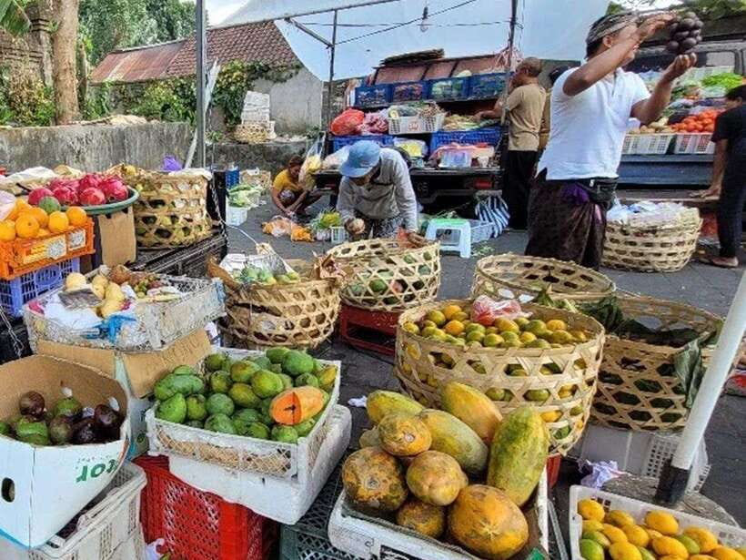 Balinese cooking class/Go shopping at the market, cook, eat - Normal or vegetarian: choose before you cook