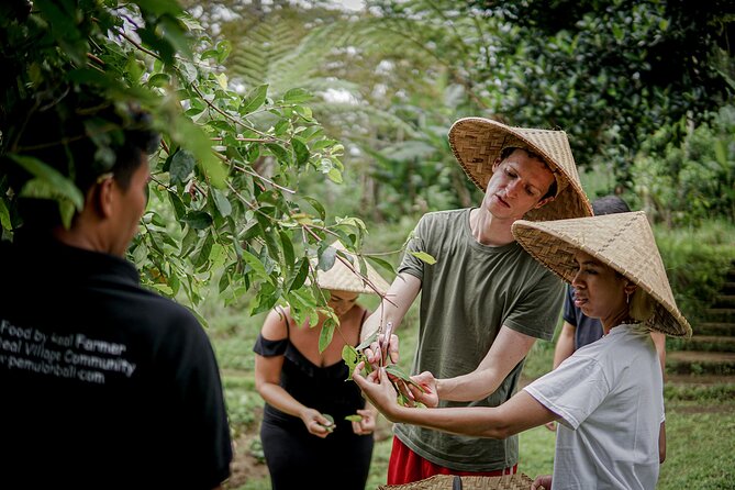 Balinese Farm Cooking Class by Pemulan Bali - From Pura Dalem Puri Peliatan to the farm