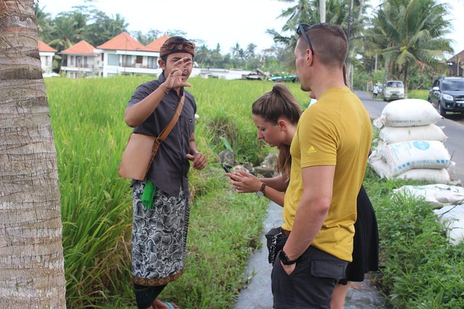 Balinese Ubud cooking school (9 Dish Cooking and Market Tour) - Morning or afternoon?