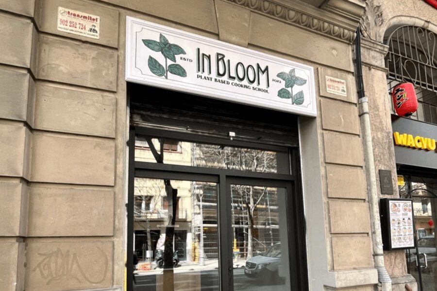 Barcelona: Catalan Cuisine cooking course 100% vegan - Sitting down to eat what you made