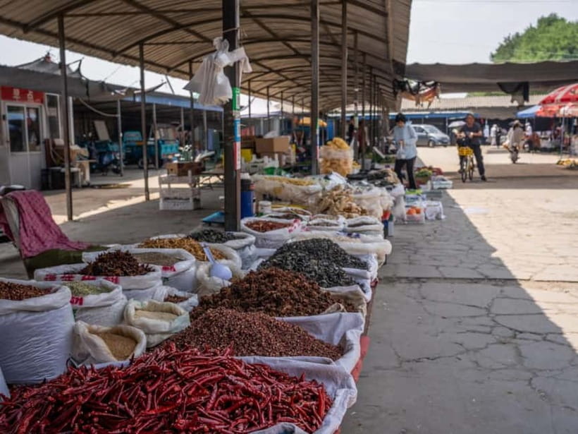 Beijing: Vegan Home Cooking & Local Market Tour with Sanxia - Key points to know before booking