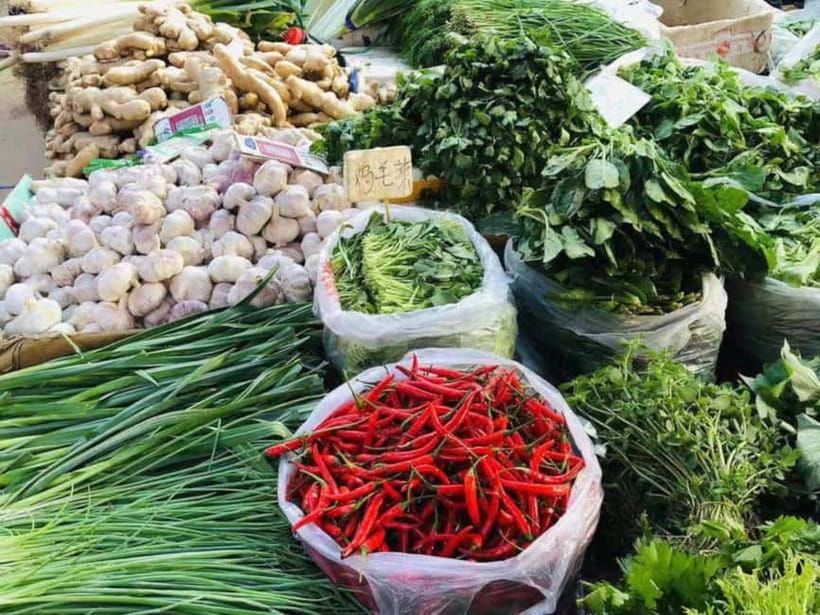 Beijing: Vegan Home Cooking & Local Market Tour with Sanxia - Choosing vegetables at the local organic market