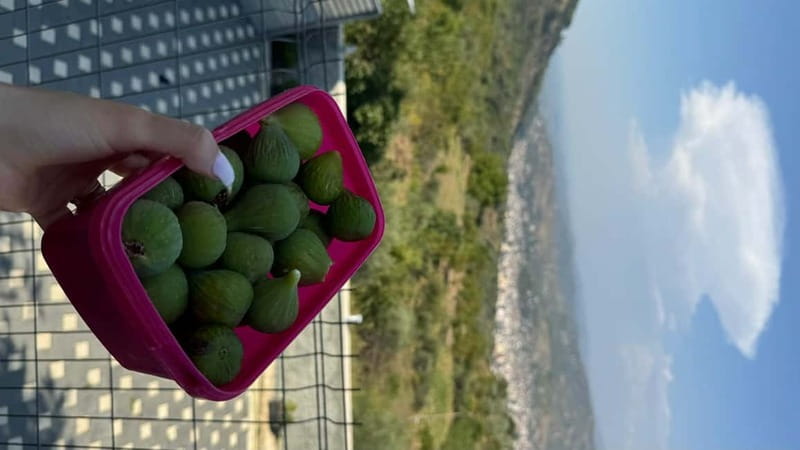 Berat: Farm-to-Table Cooking Class with Local Family - Languages, timing, and practical details