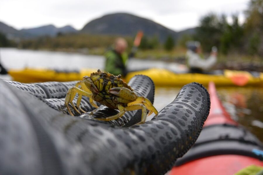 Bergen: Guided Fishing Tour with Outdoor Cooking - Rain, wind, and the practical side of the day