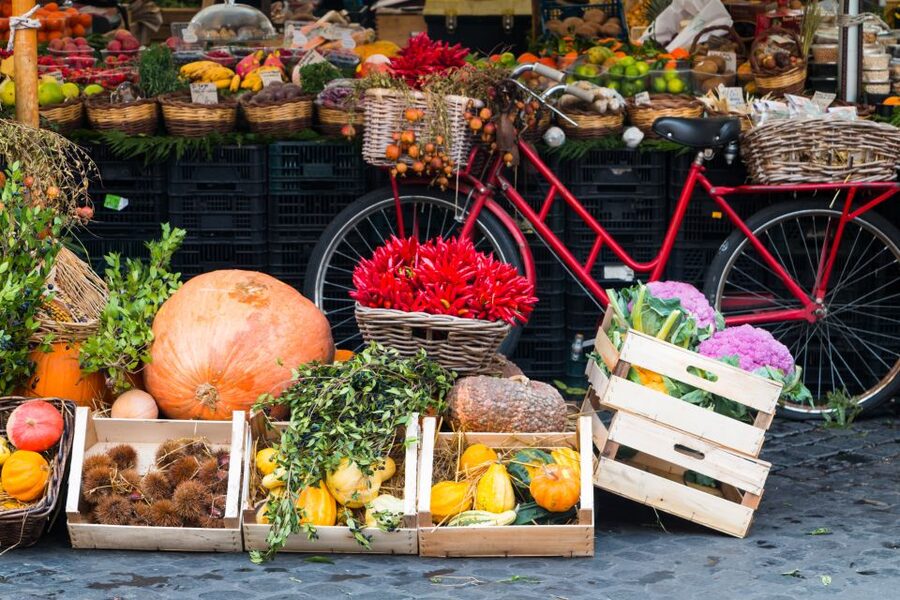 Bologna: Market, Cooking Demo and Meal at a Local's Home - From market basket to family kitchen