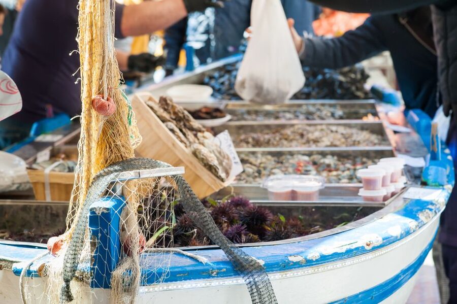 Bologna: Market, Cooking Demo and Meal at a Local's Home - What the four-course meal includes