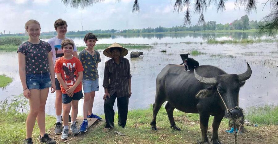 Buffalo Riding, Basket Boat and Cooking Class: Hoian/Da Nang - A short ride on a water buffalo