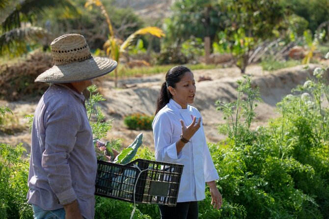 Cabo San Lucas Cooking Classes by Chef Ari - The food is only half the experience