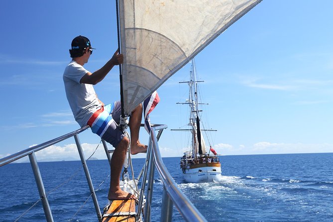 Capt Cook Cruises Super Saver Combo: Day Sail + Dinner Cruise - Same day or two separate days?