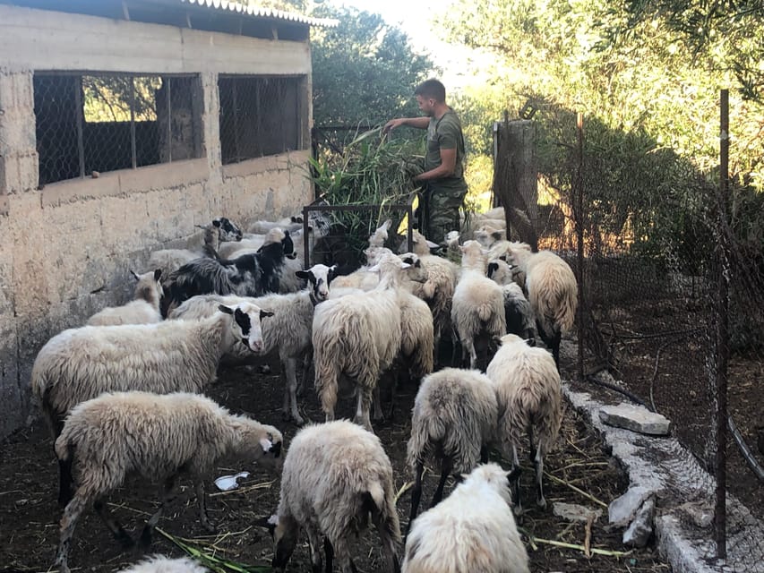 Chania Area: Cooking Class at a Farm in Stylos Village - What the five-hour duration means