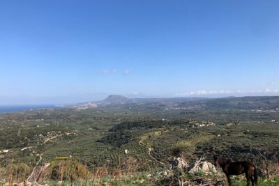 Chania Area: Cooking Class at a Farm in Stylos Village (organic)