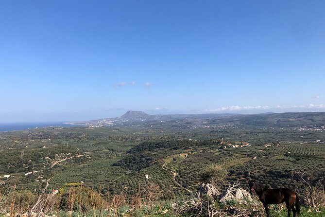 Chania Area: Cooking Class at a Farm in Stylos Village (organic) - A quiet break with lemonade and a broad view