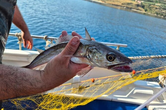 Chania Fishing with Nets Catch and Cook with a Local Fisherman - Key points to know