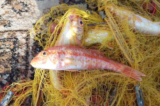 Chania Fishing with Nets Catch and Cook with a Local Fisherman - A private cove and time to swim