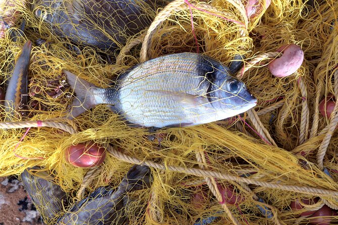 Chania Fishing with Nets Catch and Cook with a Local Fisherman - How the six hours feel