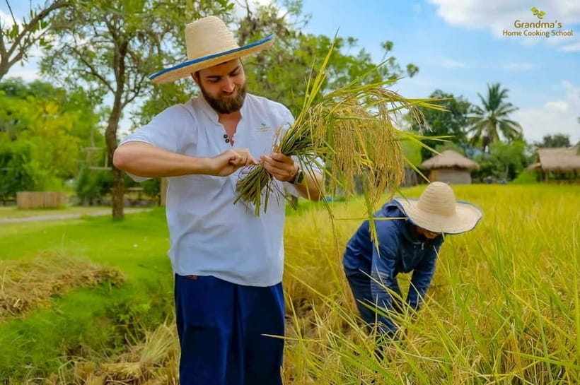 Chiang Mai: Authentic Cooking Class with Market & Farm Visit - Transport is easy, with one practical warning