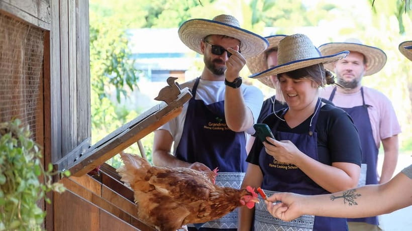 Chiang Mai: Authentic Cooking Class with Market & Farm Visit - Who will enjoy this most