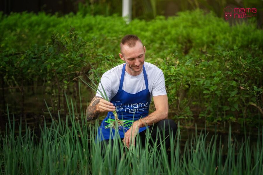Chiang Mai: Cooking Class with Organic Farm at Mama Noi - Cooking at your own station