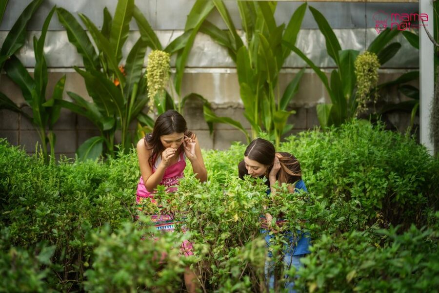 Chiang Mai: Cooking Class with Organic Farm at Mama Noi - Who will enjoy Mama Noi most