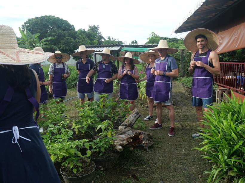 Chiang Mai: Half Day Cooking Class at Organic Farm - Key points at a glance