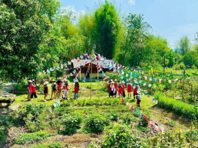 Chiang Mai: Half Day Cooking Class at Organic Farm
