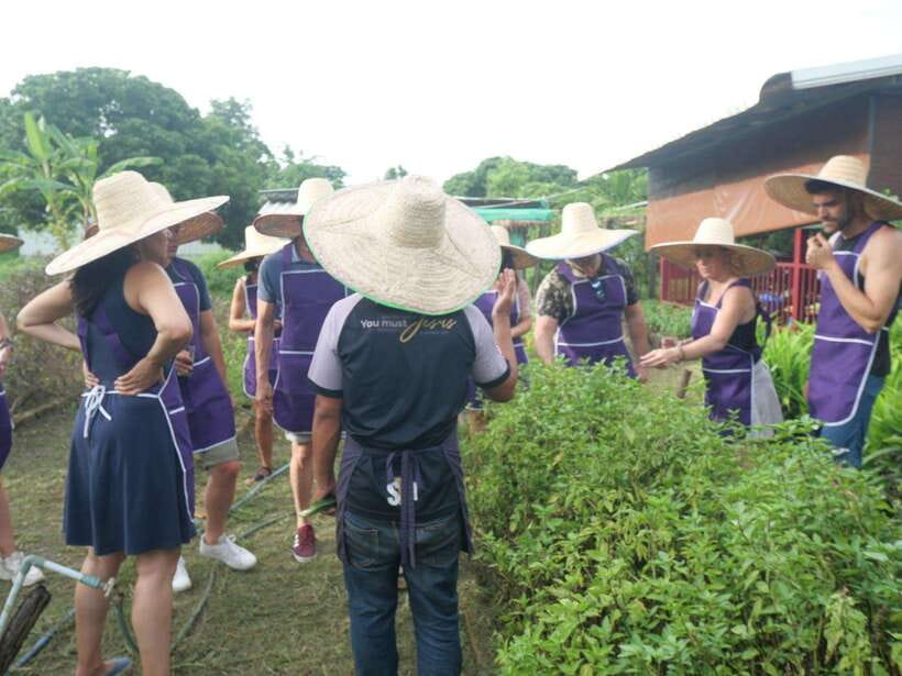 Chiang Mai: Half Day Cooking Class at Organic Farm - The $31 price offers strong value