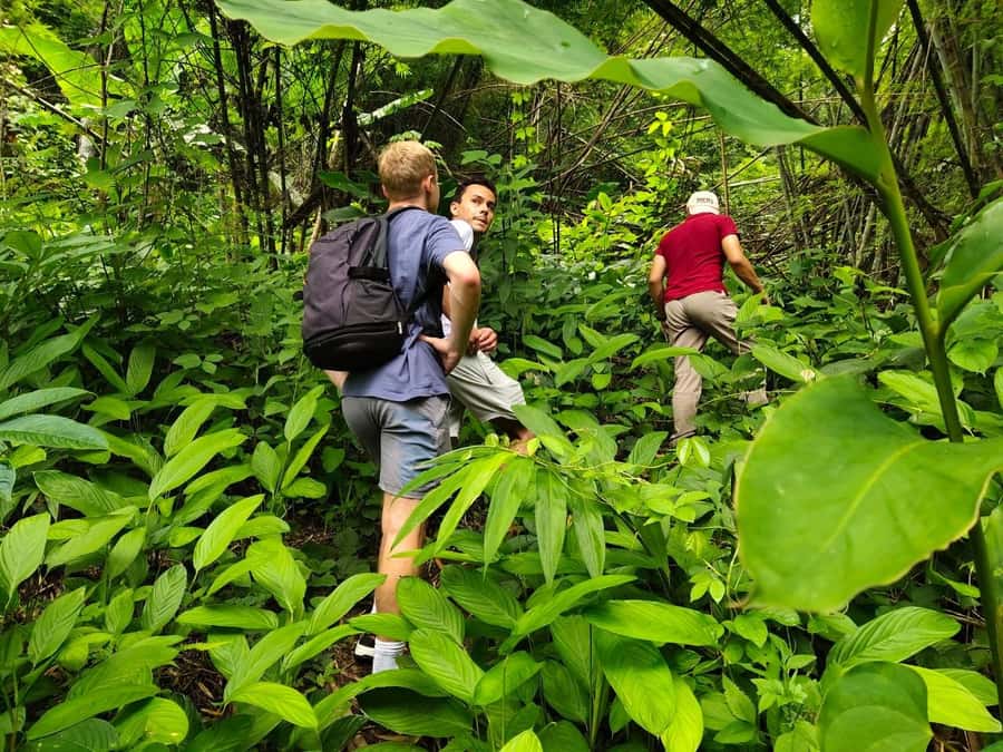 Chiang Rai: Jungle Adventure-Group Trekking & Bamboo Cooking - Key points to know before you book