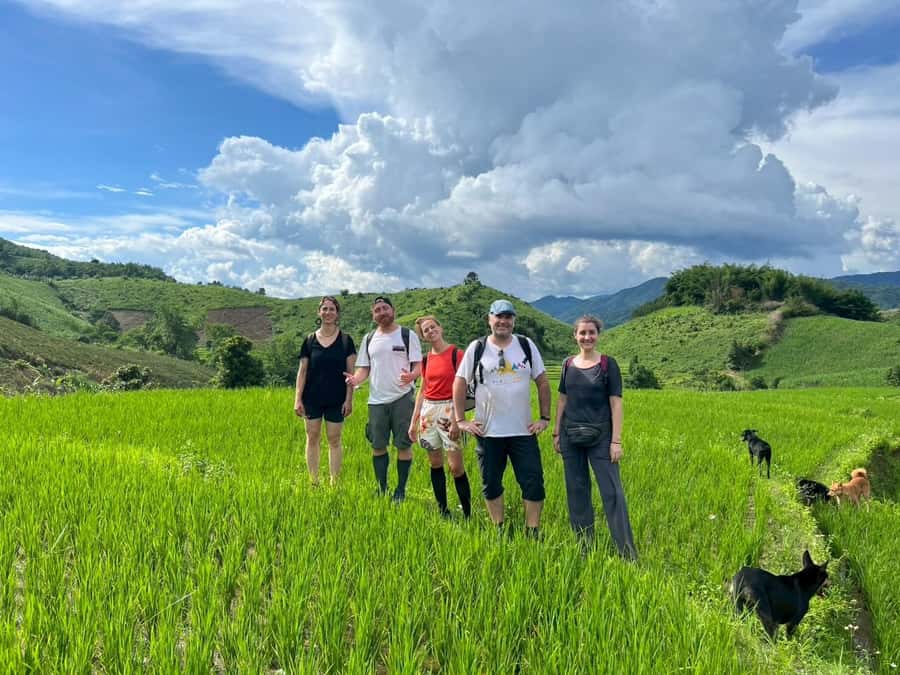 Chiang Rai: Jungle Adventure-Group Trekking & Bamboo Cooking - Why this Chiang Rai trek feels different